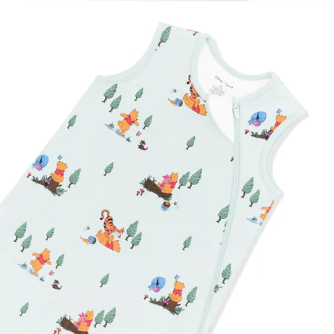 Sleep Bag in Winnie the Pooh Hundred Acre Wood 1.0