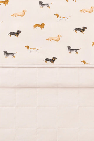 Baby Blanket in Dachshund 1.0