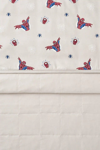 Baby Blanket in Spider-Man 1.0