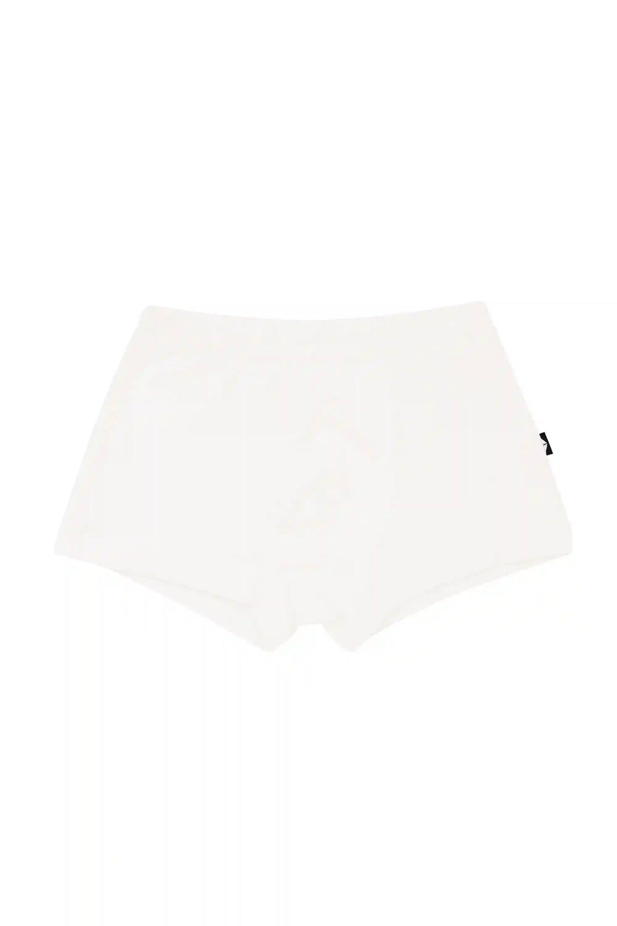 Briefs in Cloud