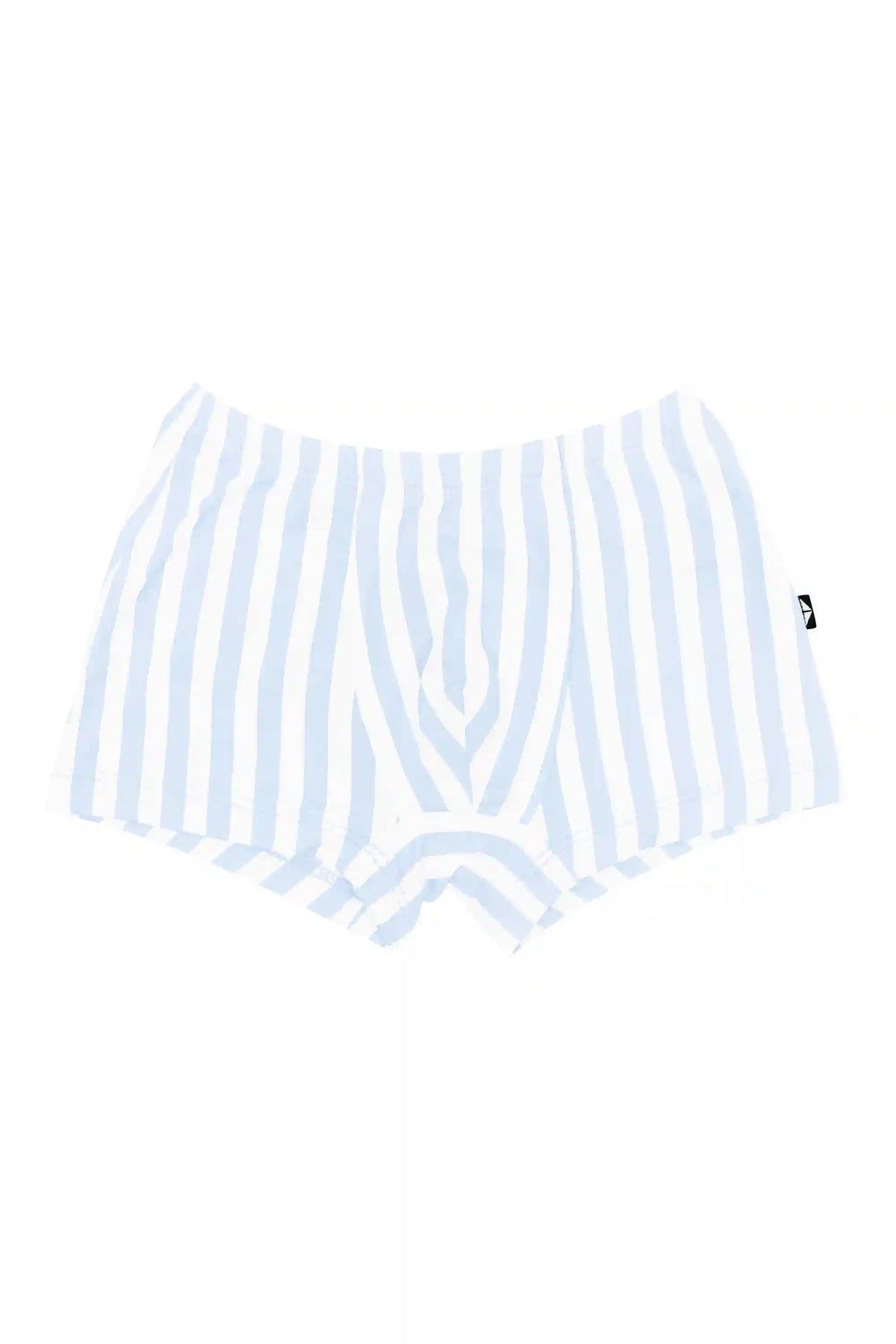 Briefs in Small Mist Stripe