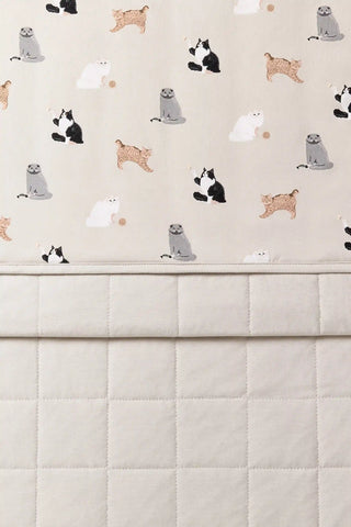Youth Blanket in Fluffy Cat 1.0