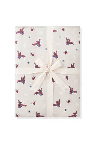 Youth Blanket in Spider-Man 2.5