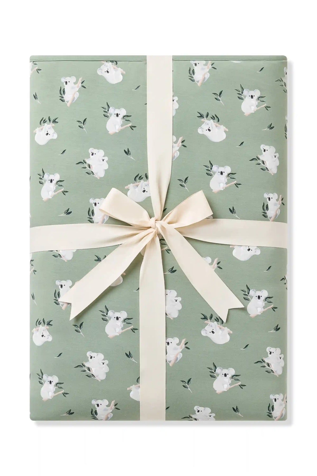 Youth Blanket in Koala 2.5