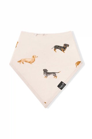 Bib in Dachshund