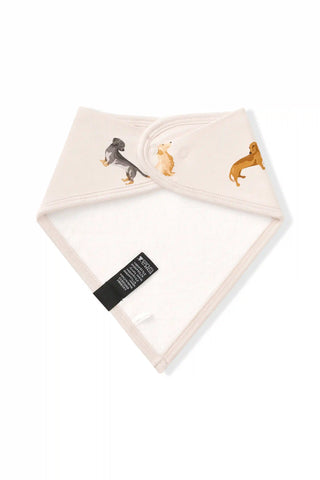 Bib in Dachshund