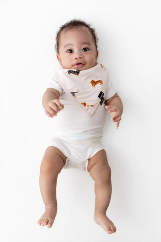 Bib in Dachshund
