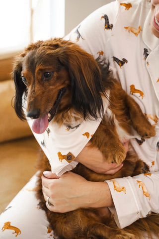 Dog Bandana in Dachshund