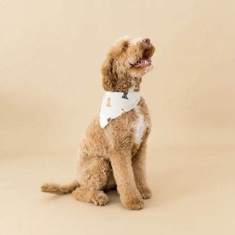 Dog Bandana in Fluffy Dog