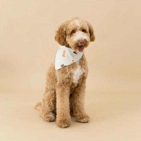 Dog Bandana in Fluffy Dog