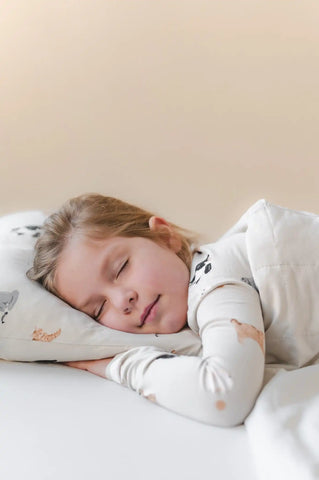 Toddler Pillowcase in Fluffy Cat