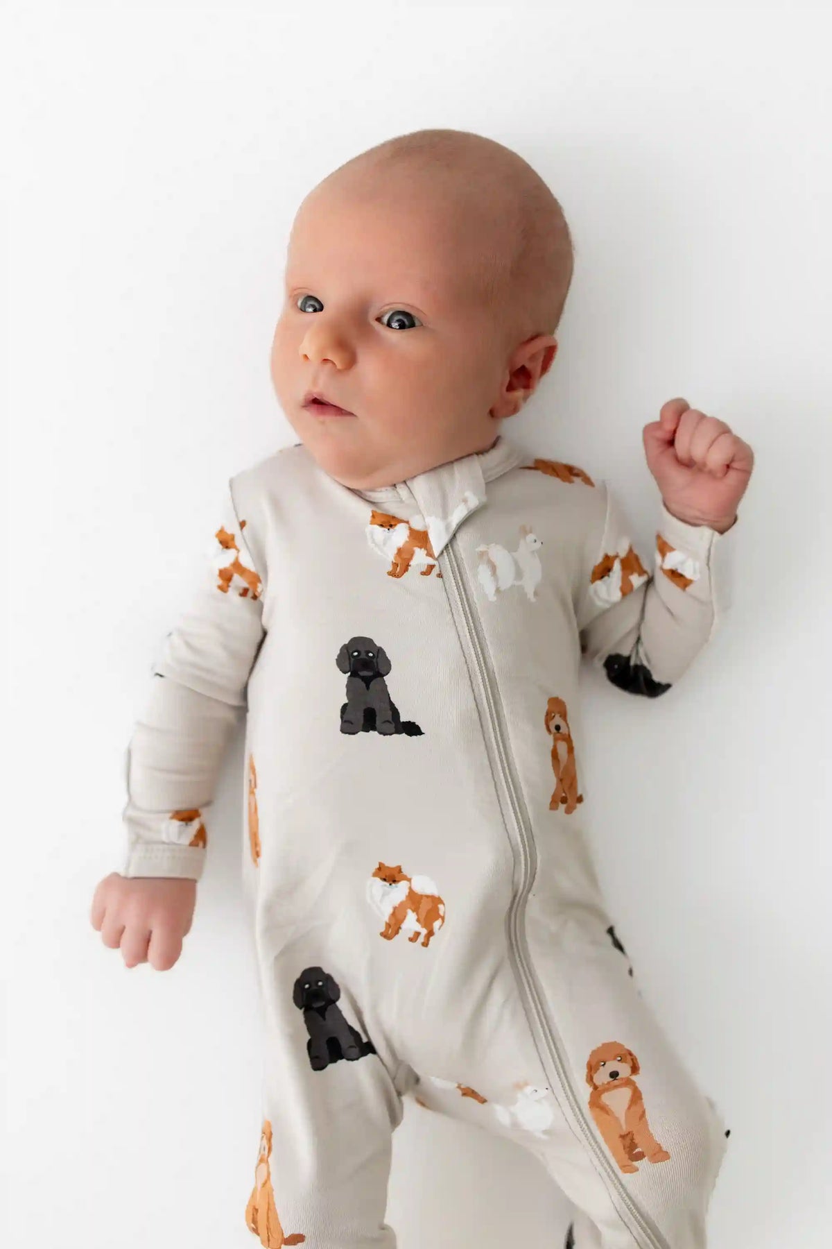 Zippered Romper in Fluffy Dog