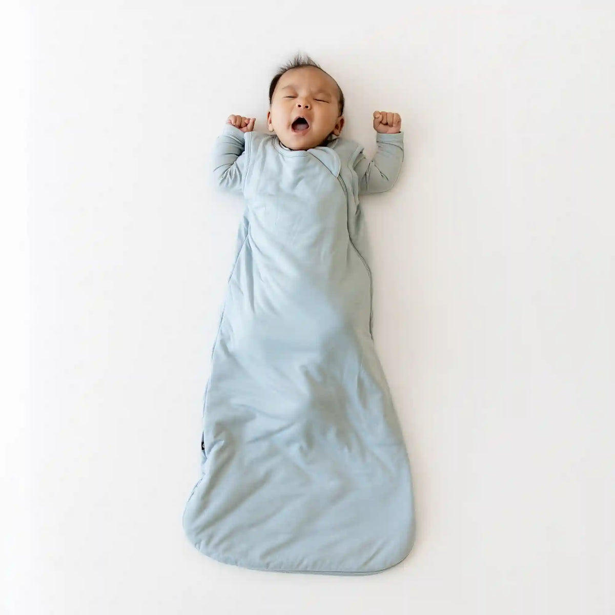 Sleep Bag in Fog 1.0