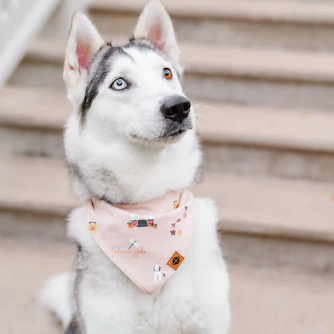 Dog Bandana in Gilmore Girls