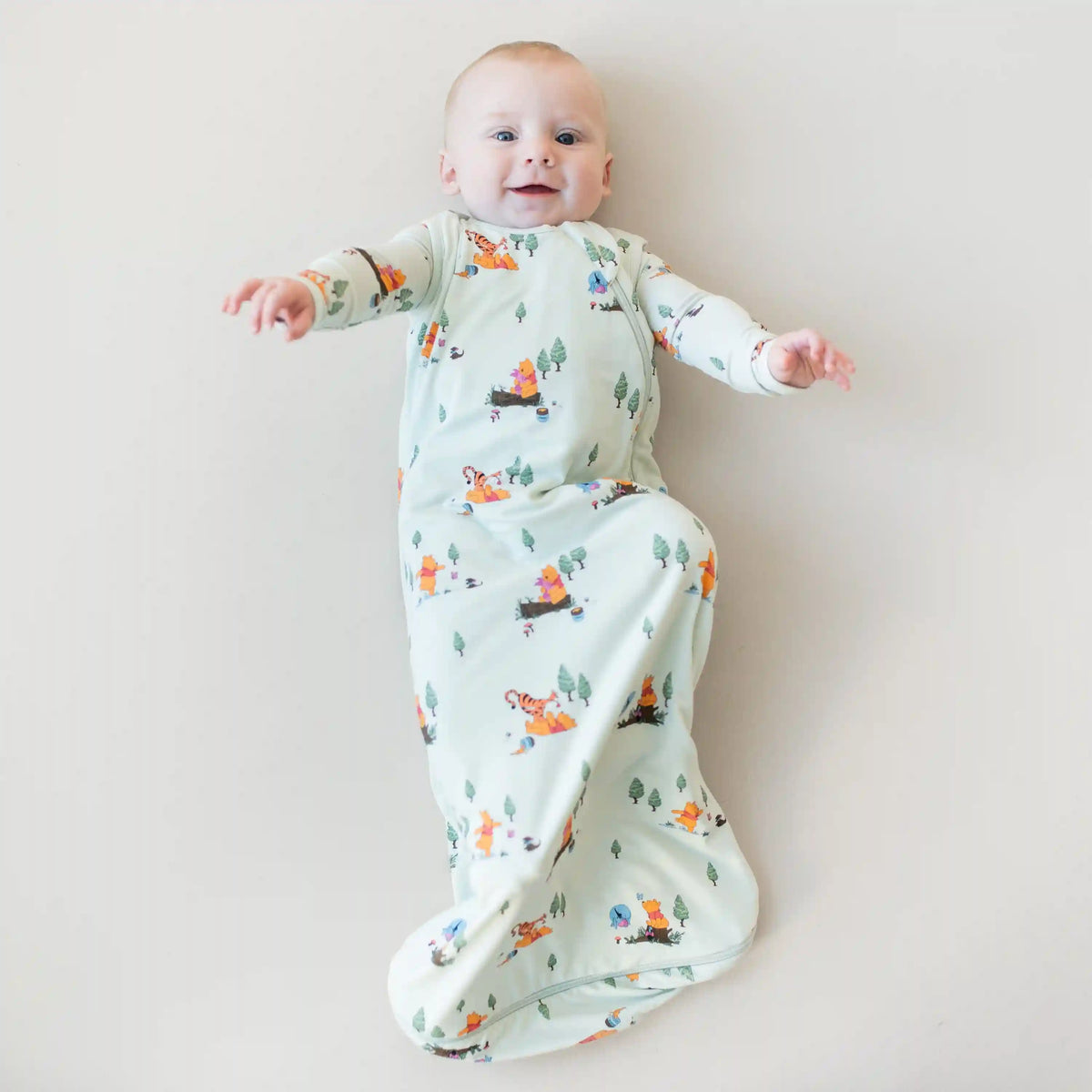 Sleep Bag in Winnie the Pooh Hundred Acre Wood 0.5