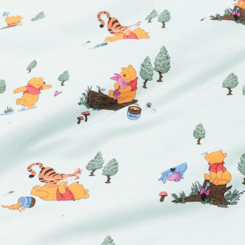 Shortall in Winnie the Pooh Hundred Acre Wood