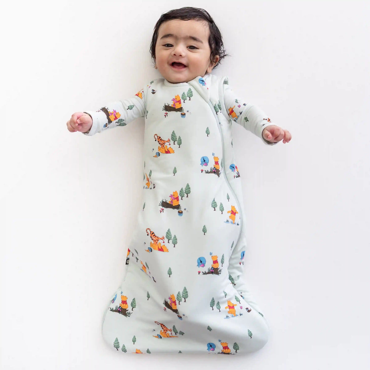 Sleep Bag in Winnie the Pooh Hundred Acre Wood 1.0