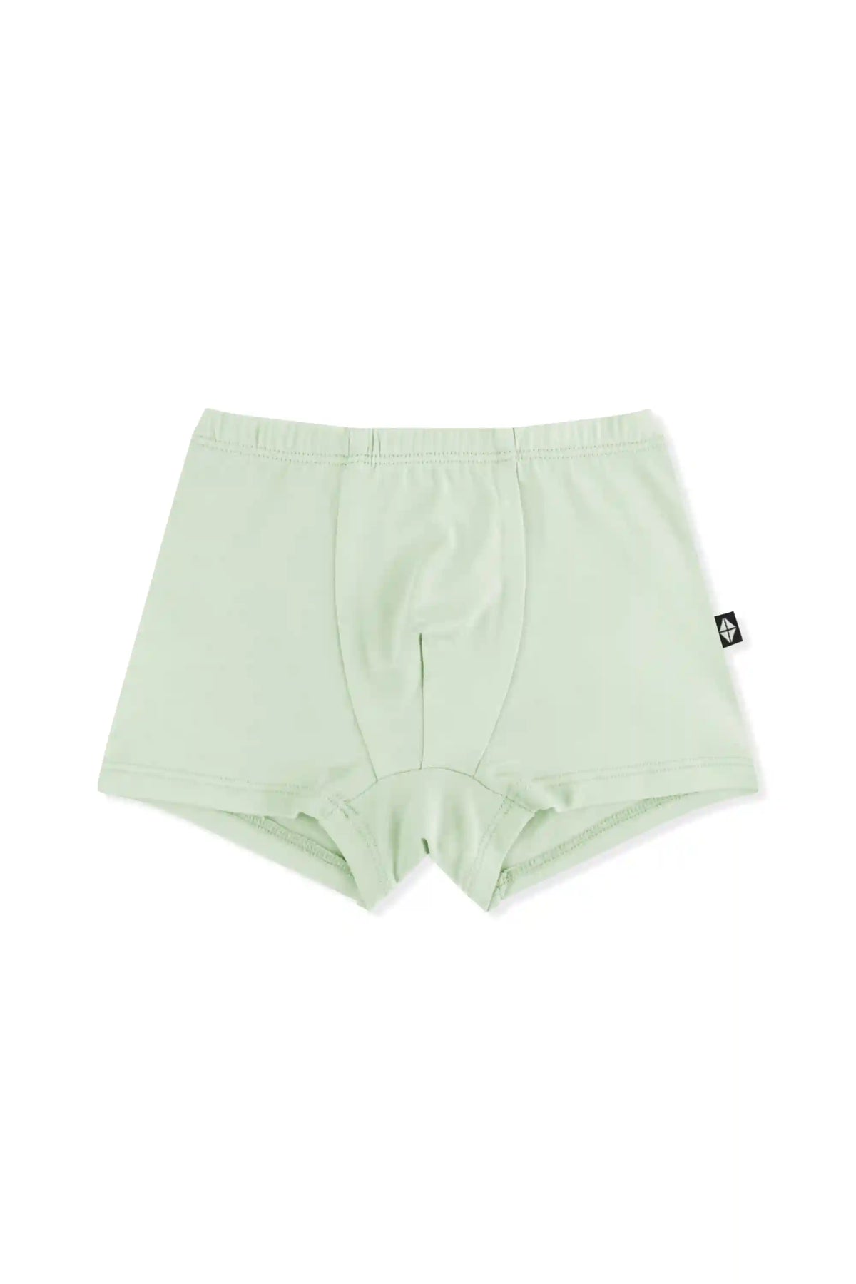 Briefs in Basil