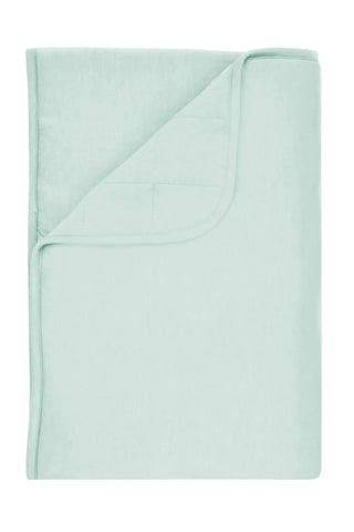 Toddler Blanket in Sage 1.0
