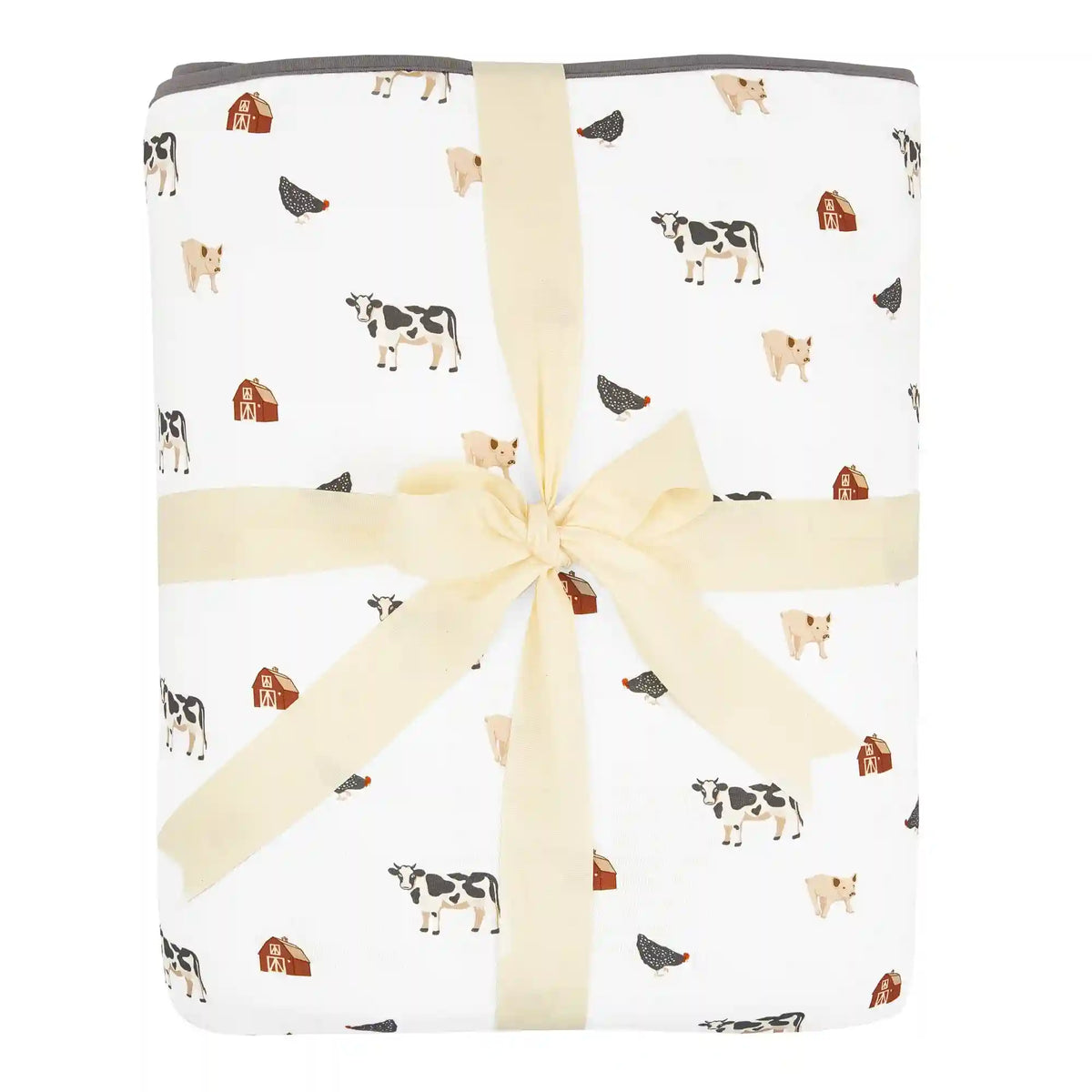 Youth Blanket in Farm 2.5